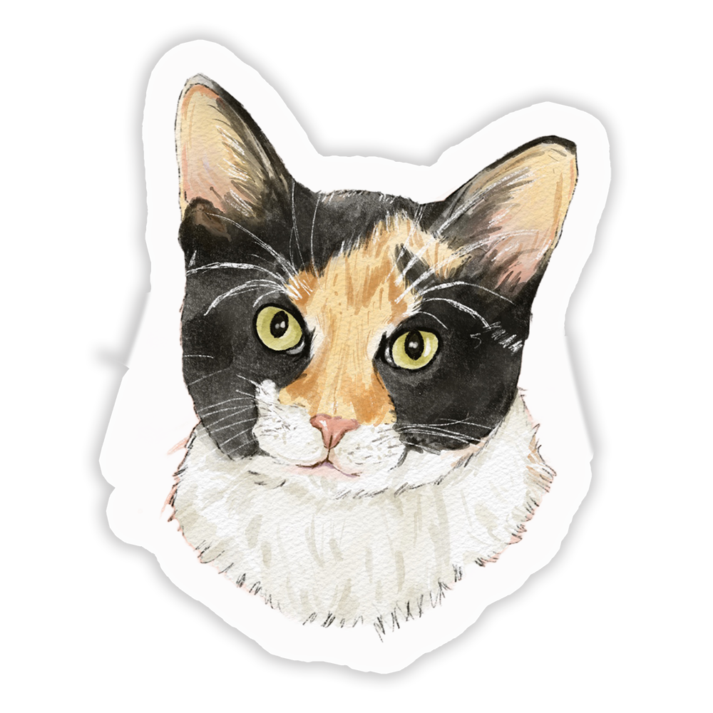Mooney Sticker